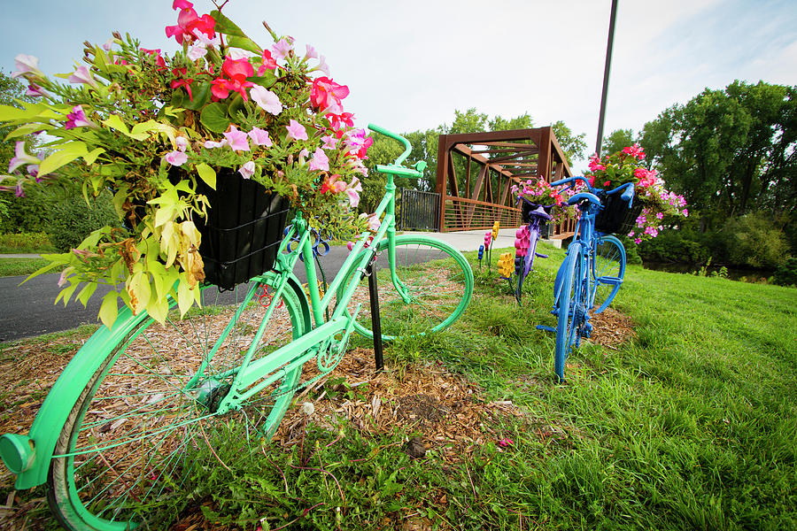 Flower Pots And Colored Bikes Photograph