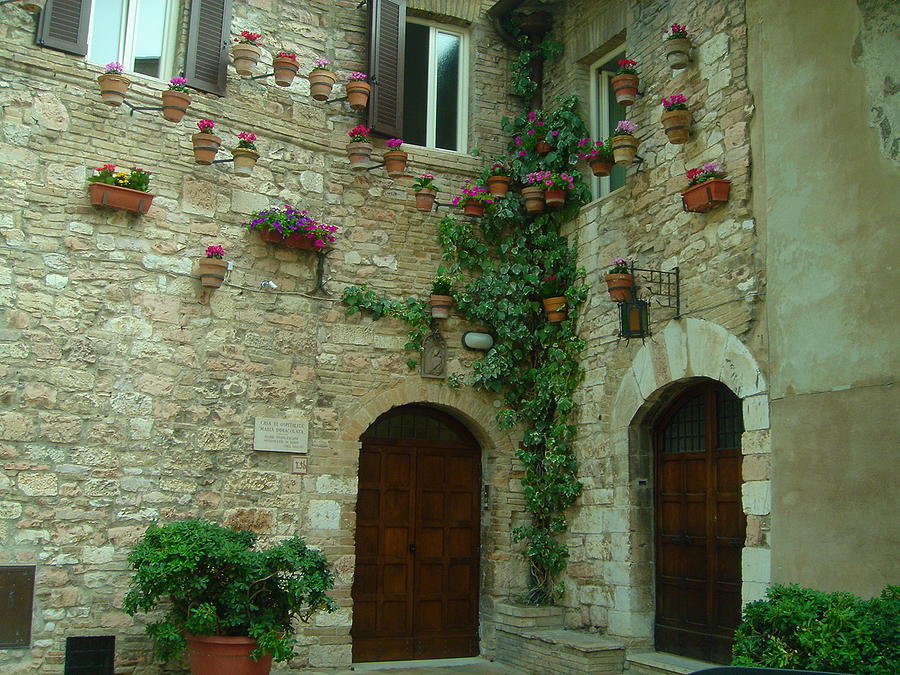 Flower pots in Assisi Italy Photograph by Patricia Caron