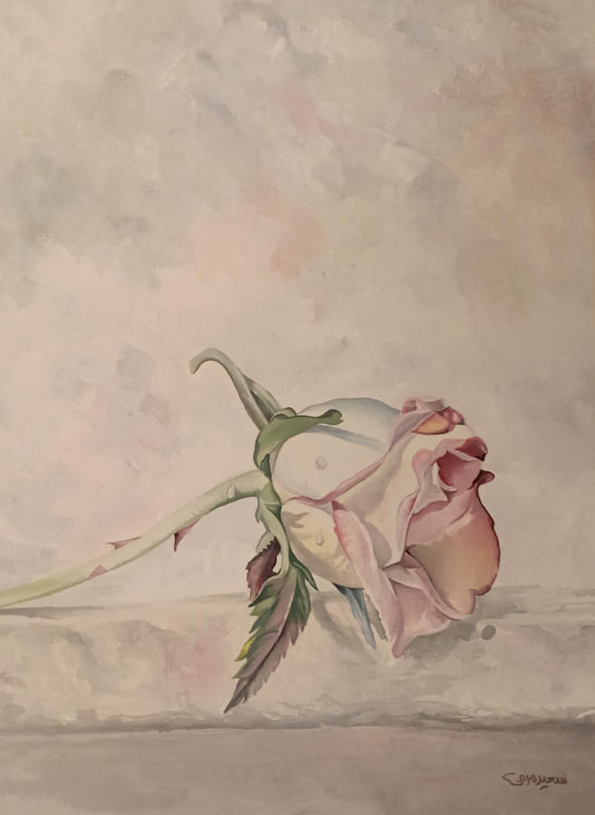 Flower by Said Marie Flower by Said Marie