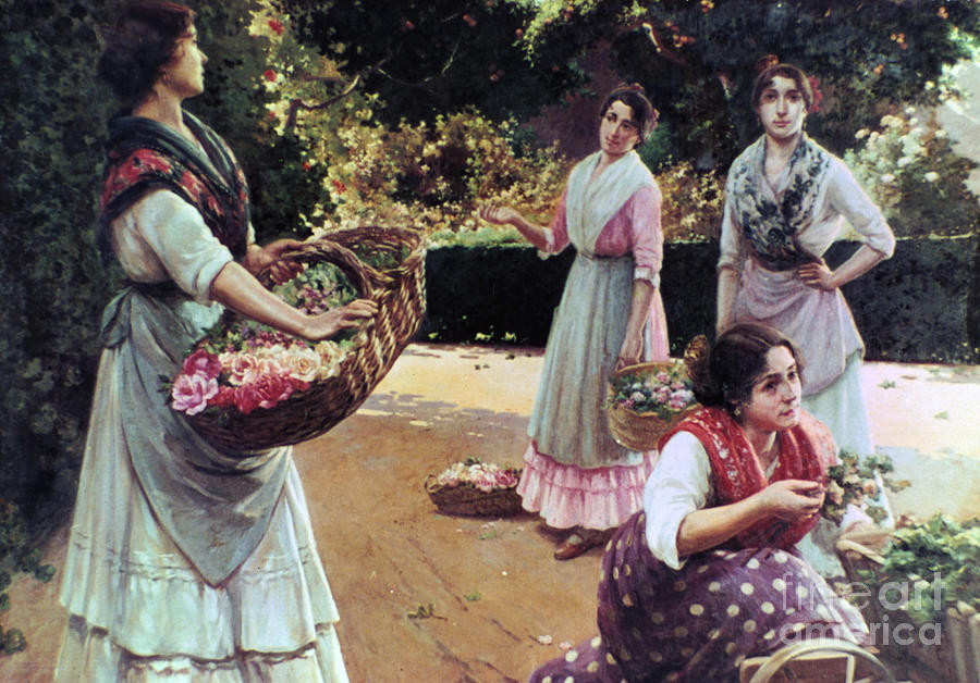 Flower Sellers Of Seville. Artist Jose Drawing by Print Collector