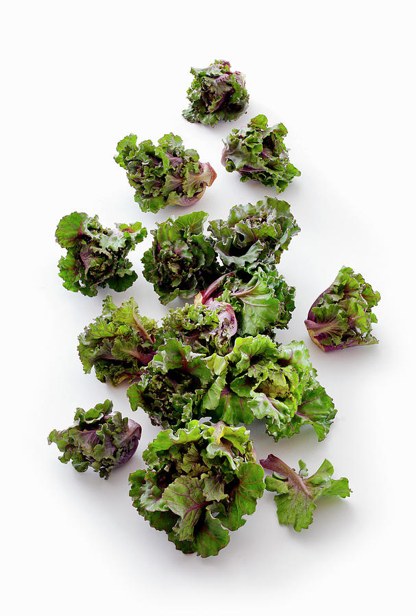 Flower Sprout a Cross Between A Brussels Sprout And Green Kale Photograph by Petr Gross