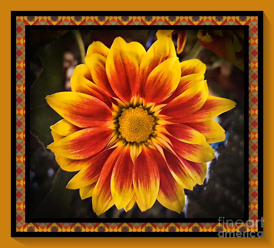 Flower Photograph by Stacey Brooks Fine Art America