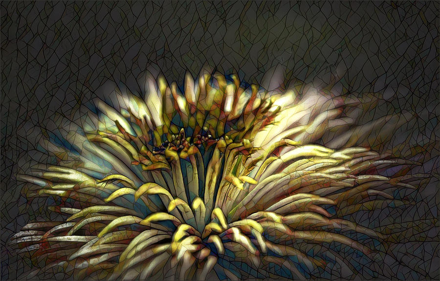 Fantasy Photograph - Flower Stained Glass by Gilbert Claes