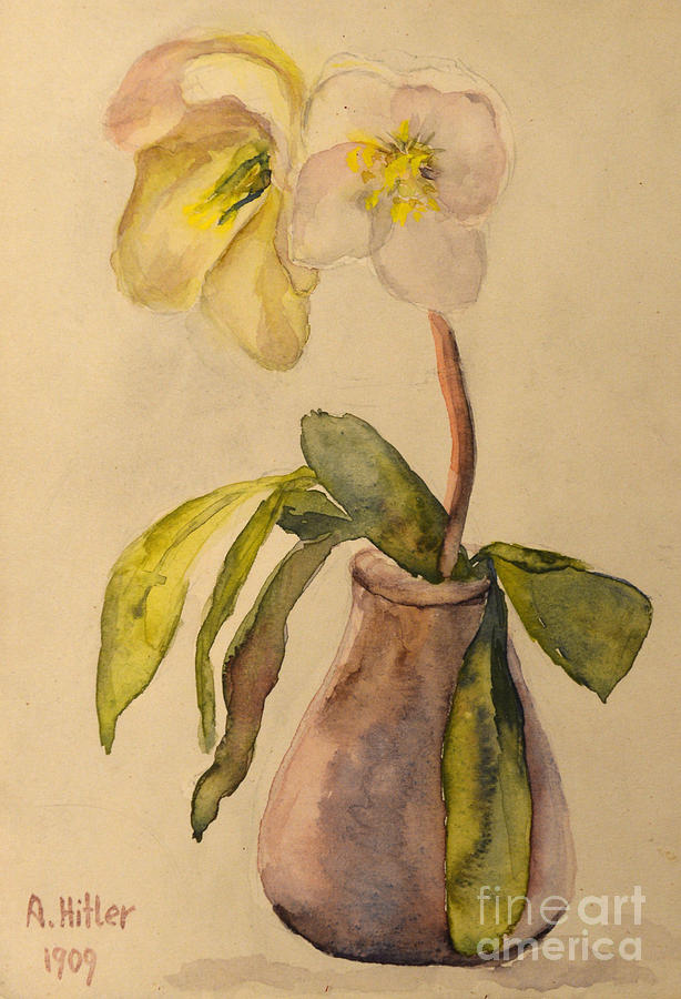 Flower Still Life Drawing by Heritage Images