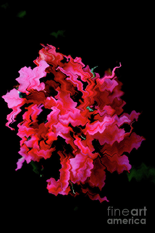 Flower Swirls and Waves Digital Art by Carol Eliassen