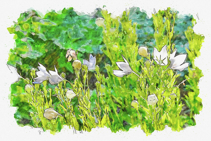 Flower #watercolor #sketch #flower #green Digital Art by TintoDesigns
