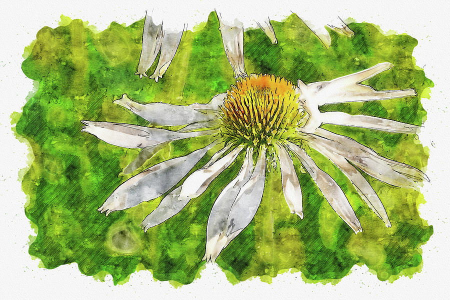 Flower #watercolor #sketch #flower #plant Digital Art by TintoDesigns