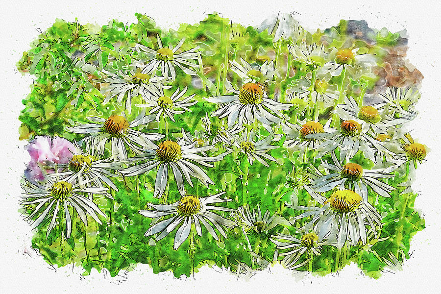 Flower #watercolor #sketch #flower #summer Digital Art by Tinto Designs