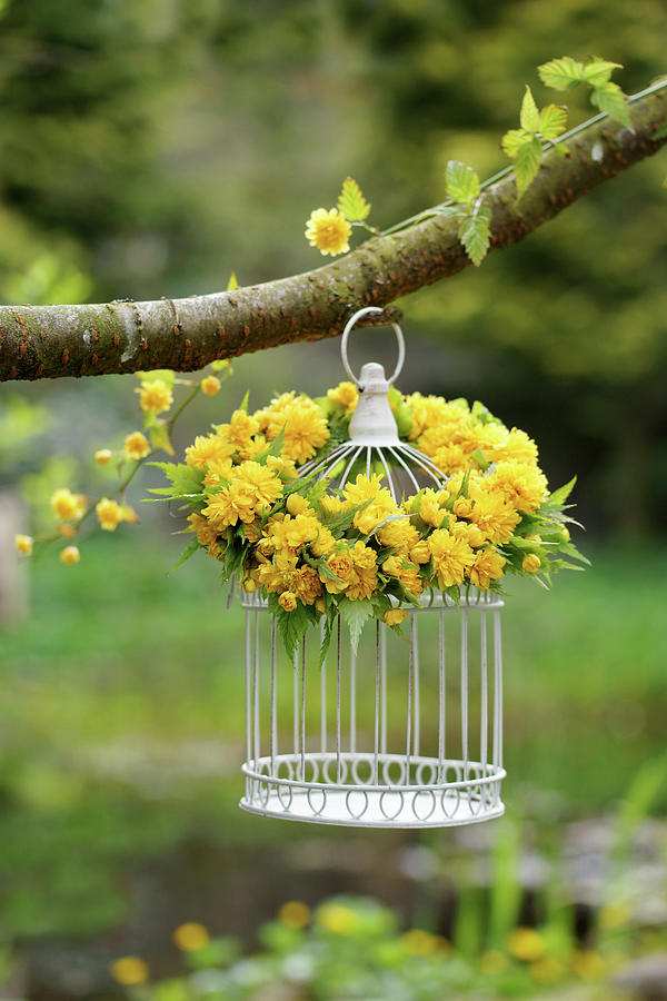 Flower Wreath Made Of Kerria pleniflora On A Birdcage Photograph by Angelica Linnhoff