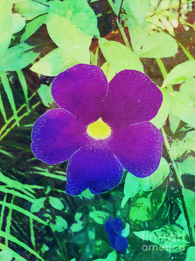 FLOWER221117 by Ron Labryzz FLOWER221117 by Ron Labryzz