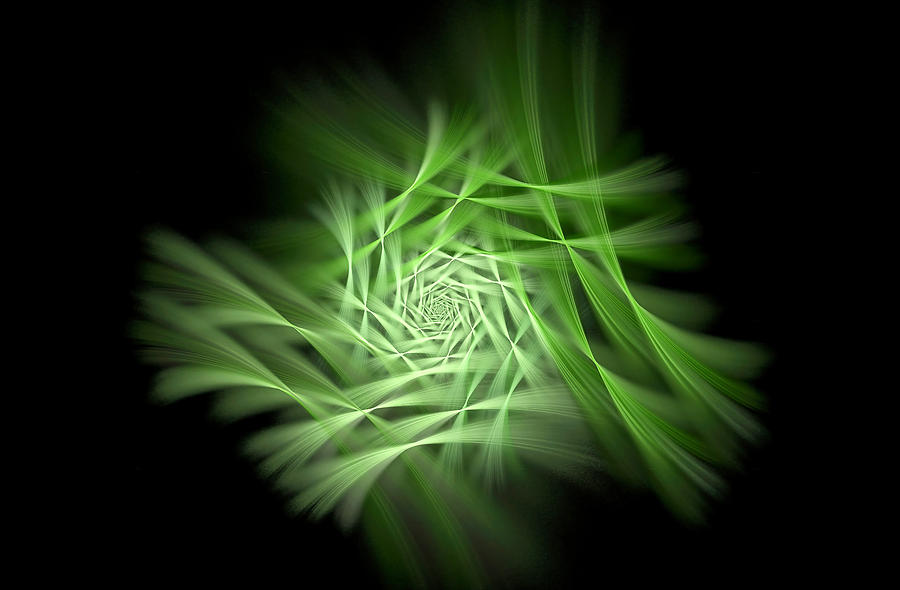 Flowerama Green Digital Art by Don Northup