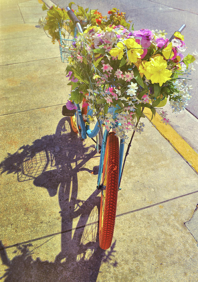 Transportation Photograph - Flowercycle by JAMART Photography