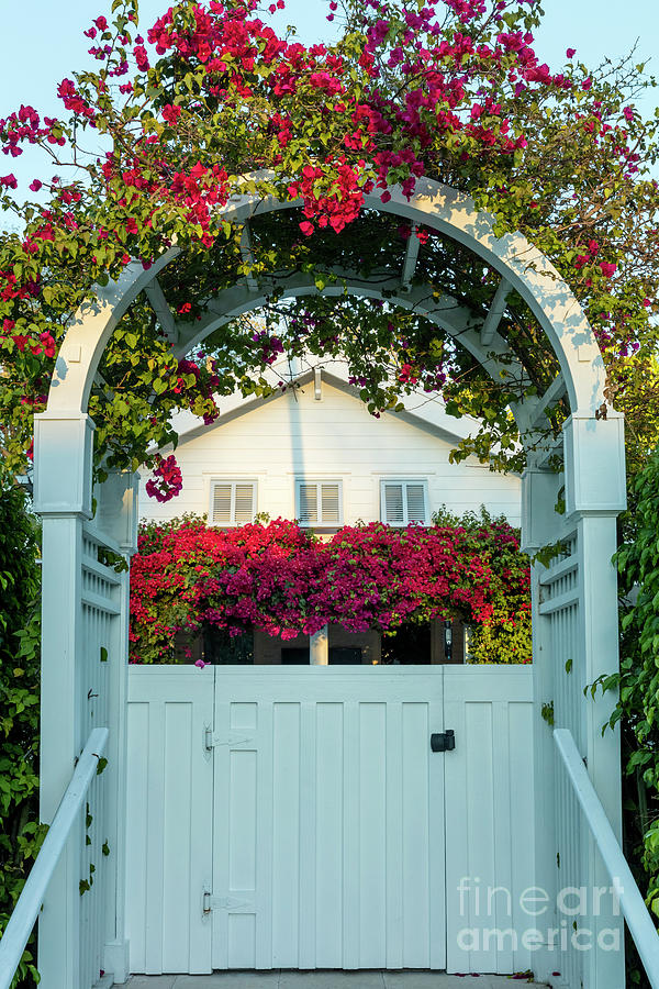 Flowered Entry Naples Florida Photograph by Brian Jannsen