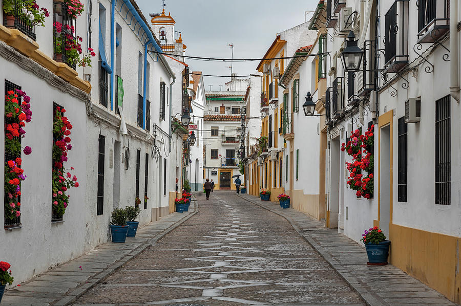 Flowered Street At Cordoba, Andalusia Photograph by Izzet Keribar