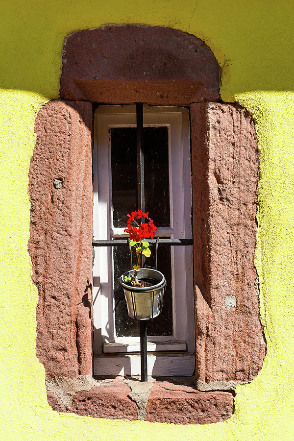 Flowered window - 7 Photograph by Paul MAURICE