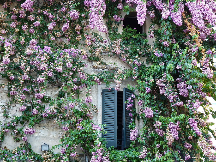 Flowered Window In Sirmione Photograph by Laura Barrera