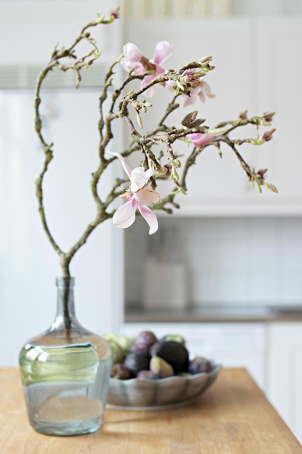 Flowering Branch Of Magnolia In Glass Vase With Bowl Of Fruit In Background Photograph by Cecilia Mller