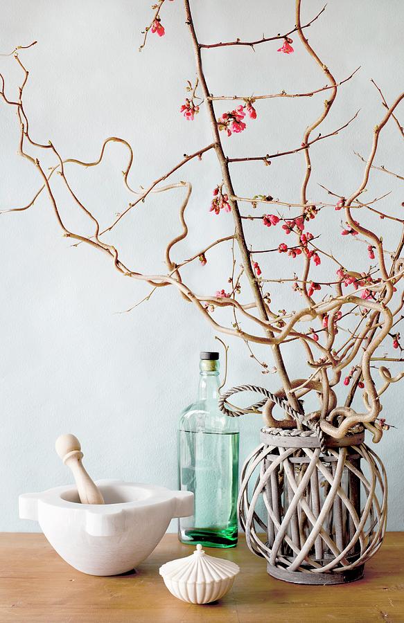 Flowering Branches In Wicker Basket, Italian Mortar And Pestle, Vintage Bottles And Spice Pot Photograph by Jamie Watson