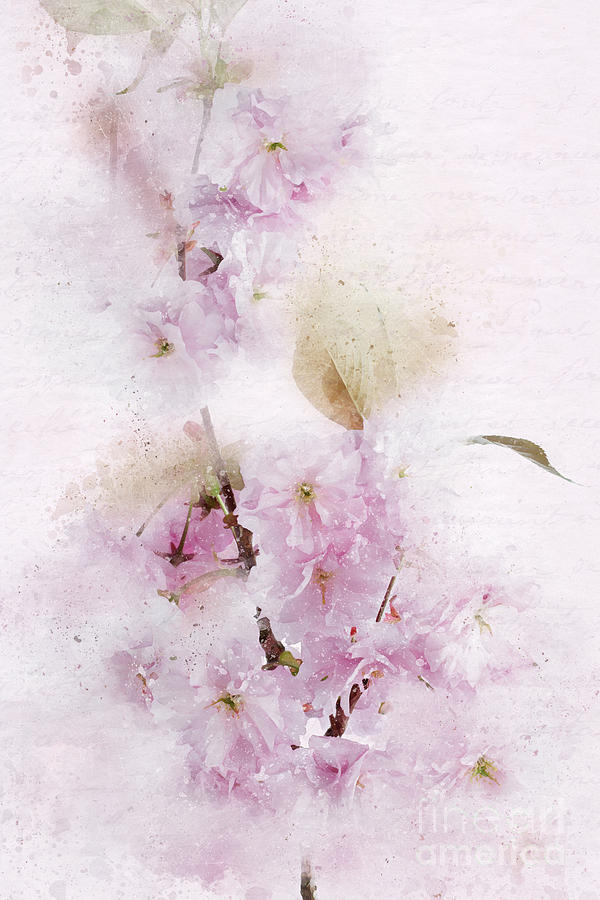 Flowering Cherry Pastels Digital Art by Ann Garrett