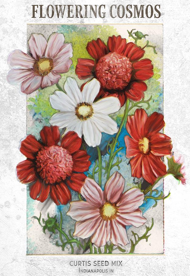 Flowering Cosmos Seed Packet Drawing by Unknown