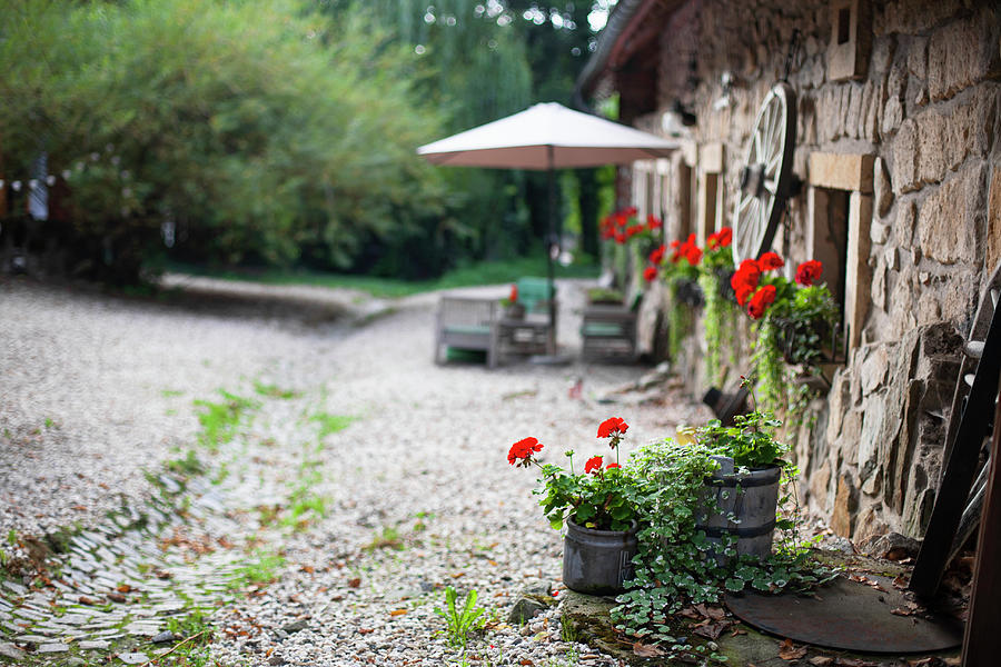 Flowering Geraniums Outside Rustic Stone House Photograph by Alicja Koll