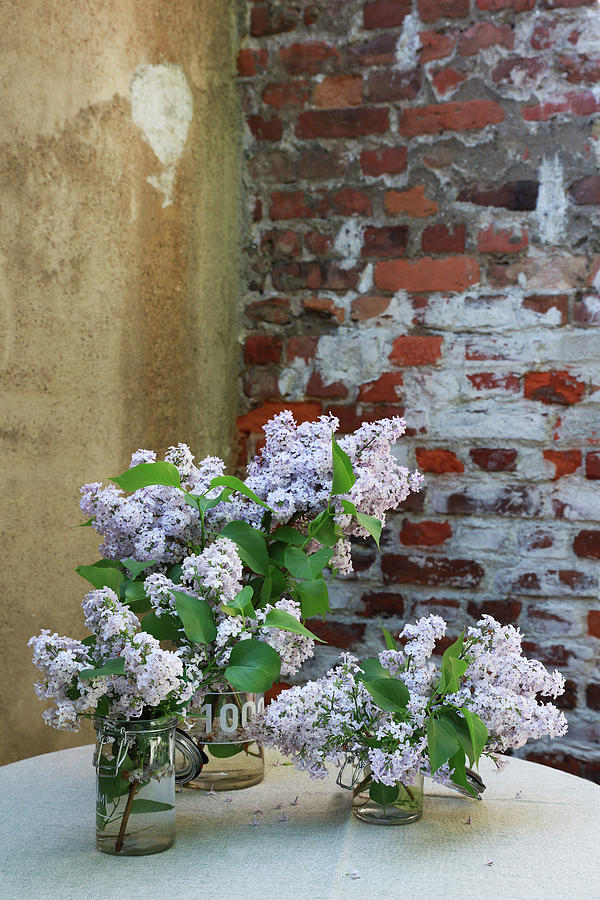 Flowering Lilac In Glass Jars On Terrace Table In Courtyard Photograph by Annette Nordstrom