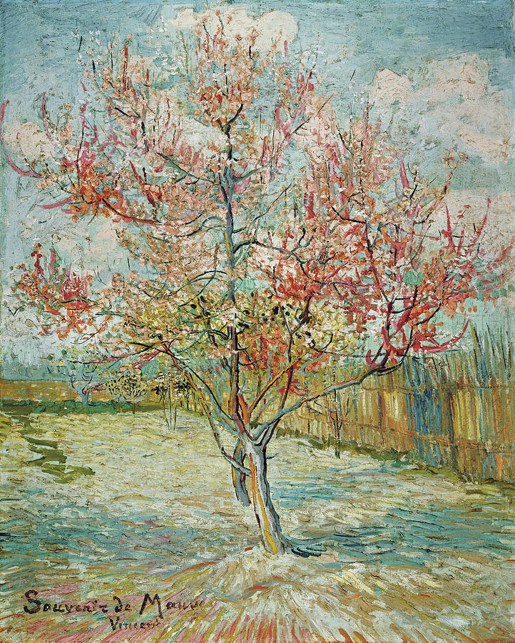 Vincent Van Gogh Painting - Flowering peach trees by Vincent van Gogh