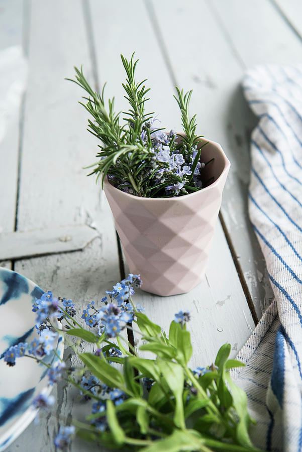 Flowering Rosemary Sprigs In A Cup, Forget-me-nots Lying Photograph by Jelena Filipinski