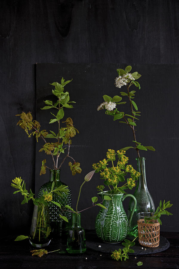 Flowering Stems In Vases cypress Spurge, Oak Twig, Red Dogwood, Clematis Photograph by Elisabeth Berkau