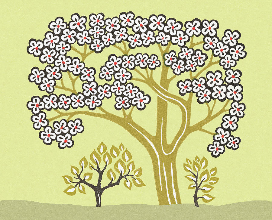 Nature Drawing - Flowering Treee by CSA Images