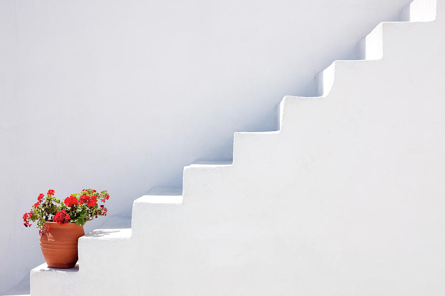 Flowerpot On Steps, Oia, Santorini Photograph by David Clapp