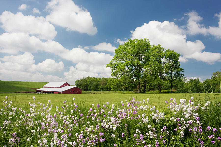 Flowers & Farm, Holmes County, Ohio ?10 Photograph by Monte Nagler ...