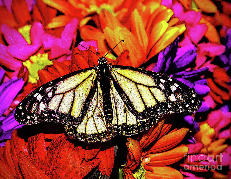 Flowers and Butterfly Photograph by Nick Zelinsky Jr