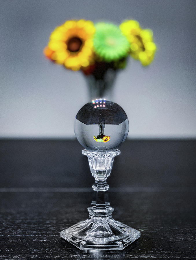 Flowers and Crystal Ball Photograph by Lora J Wilson