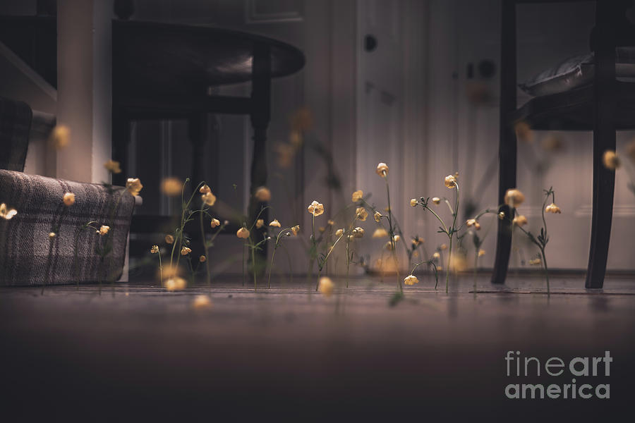 Flowers And Floorboards No.2 Photograph by Frederick Ardley