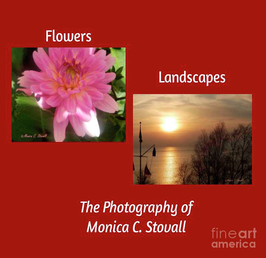 Flowers and Landscapes Photograph by Monica C Stovall