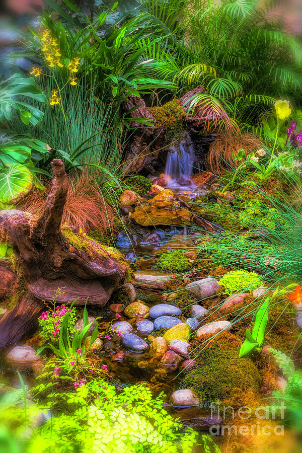 Flowers and Rocks by Nick Zelinsky Flowers and Rocks by Nick Zelinsky