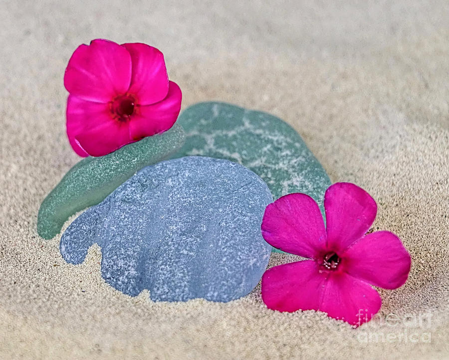 Flowers and sea glass Photograph by Janice Drew