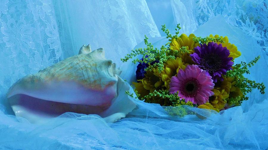 - Flowers and Shell Photograph by THERESA Nye