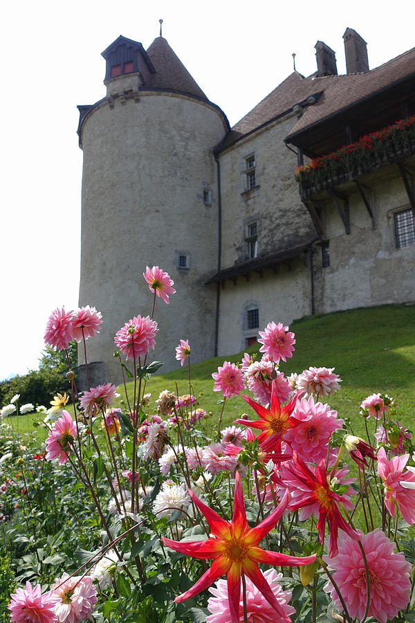 Flowers at Gruyere Castle Photograph by Patricia Caron