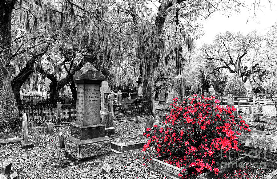 Flowers by the Grave at Magnolia Cemetery Photograph by John Rizzuto