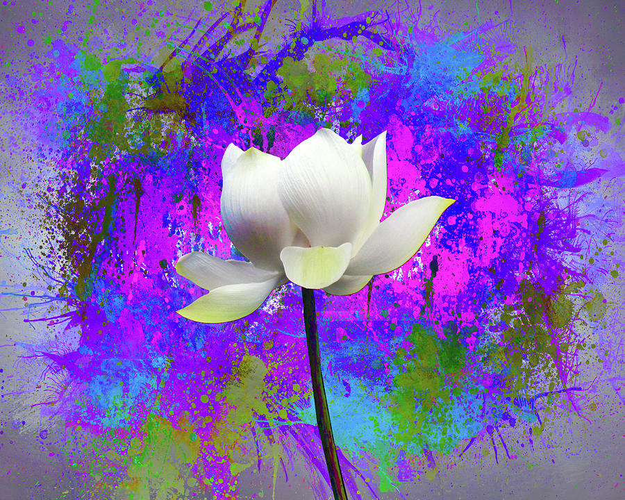 Flower Mixed Media - Flowers Explosion Sep3 by Ata Alishahi