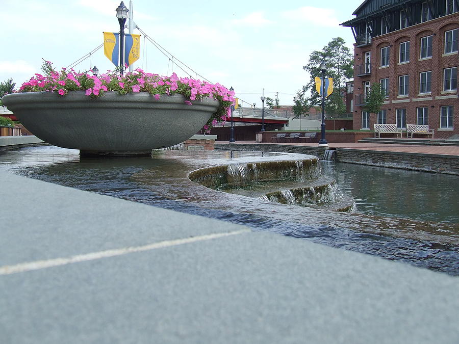 Flowers, Fountains, and Creek by Ty Unglebower Flowers, Fountains, and Creek by Ty Unglebower