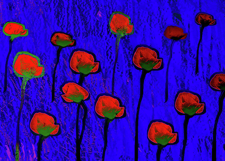 Poppy Flowers Digital Art by Alexandra Vusir