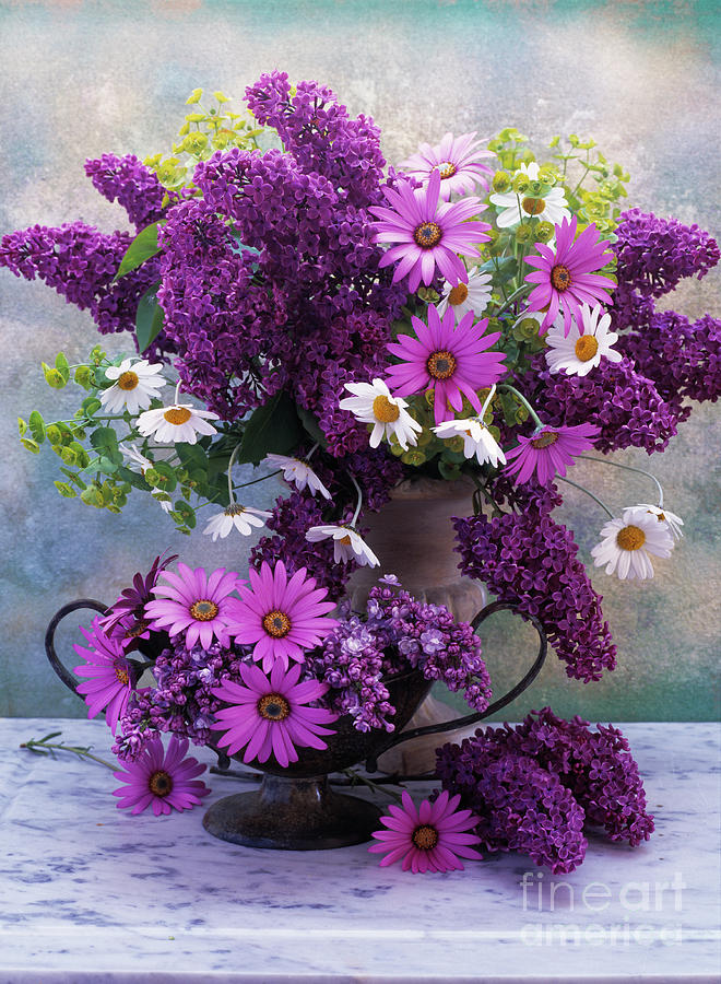 Flowers In A Vase Photograph by Erika Craddock/science Photo Library