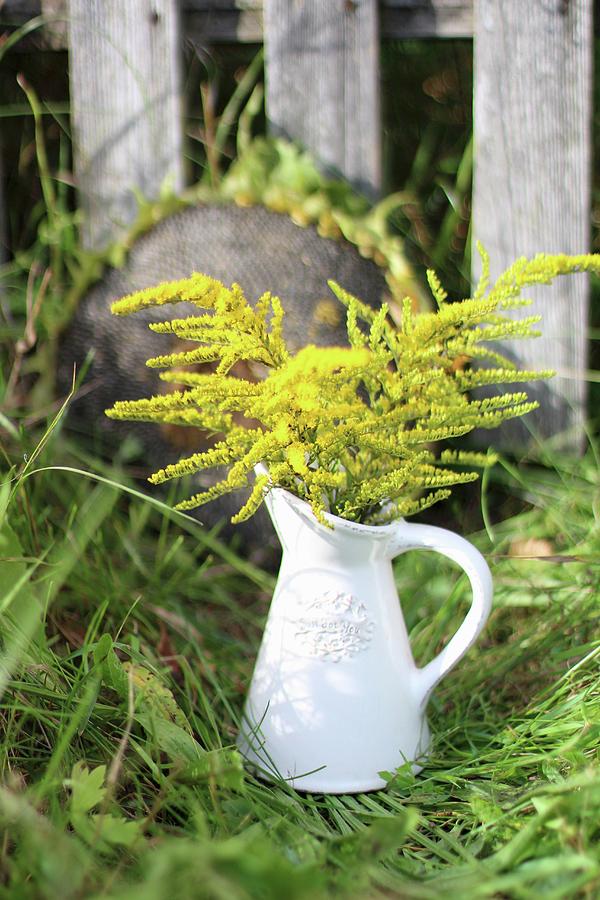 Flowers In Ceramic Jug In Meadow Photograph by Sylvia E.k Photography