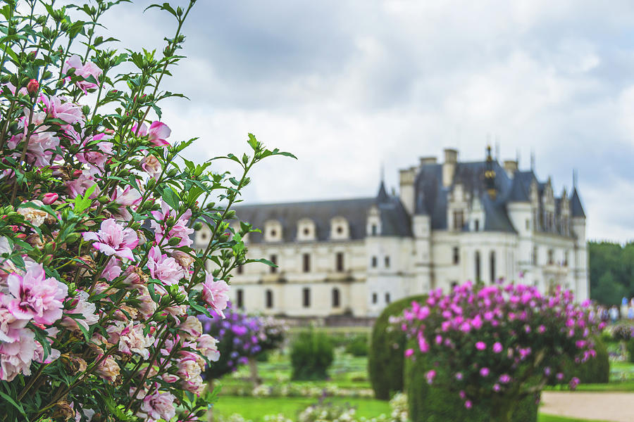 Jardin Chenonceau