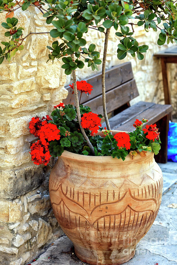 Unique Photograph - Red Flowers in Cyprus by John Rizzuto