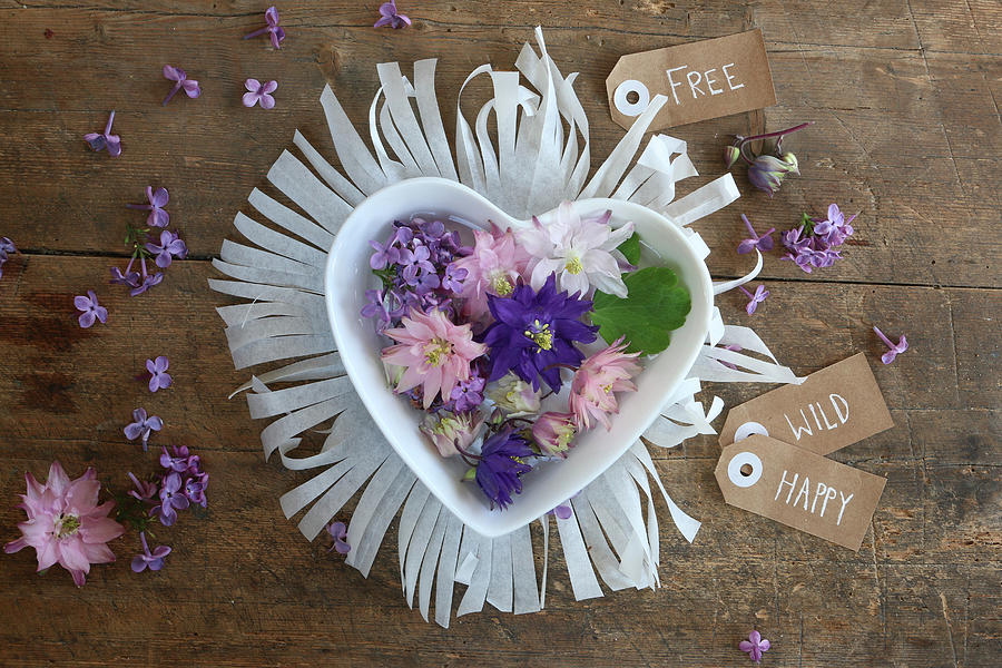 Flowers In Heart-shaped Bowl On Fringed Paper Mat Photograph by Regina Hippel