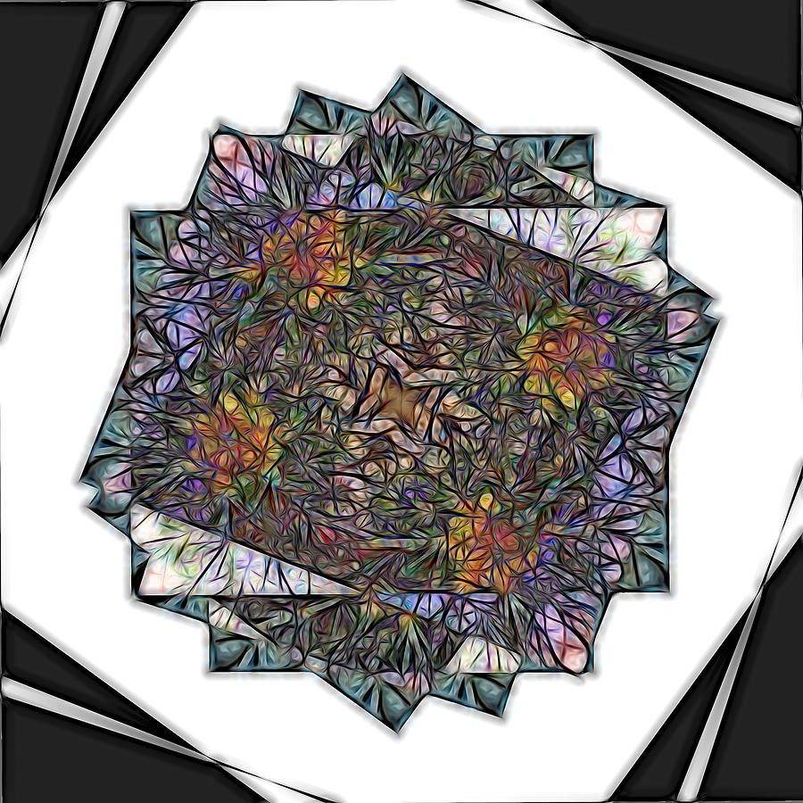 Flowers in Mosaic  Digital Art by Cathy Anderson